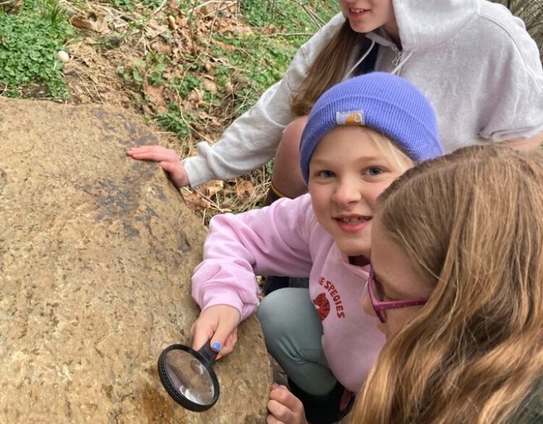 Family Hike & Picnic